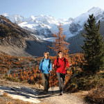 ENGADIN St. Moritz: Wanderung Morteratsch im Herbst